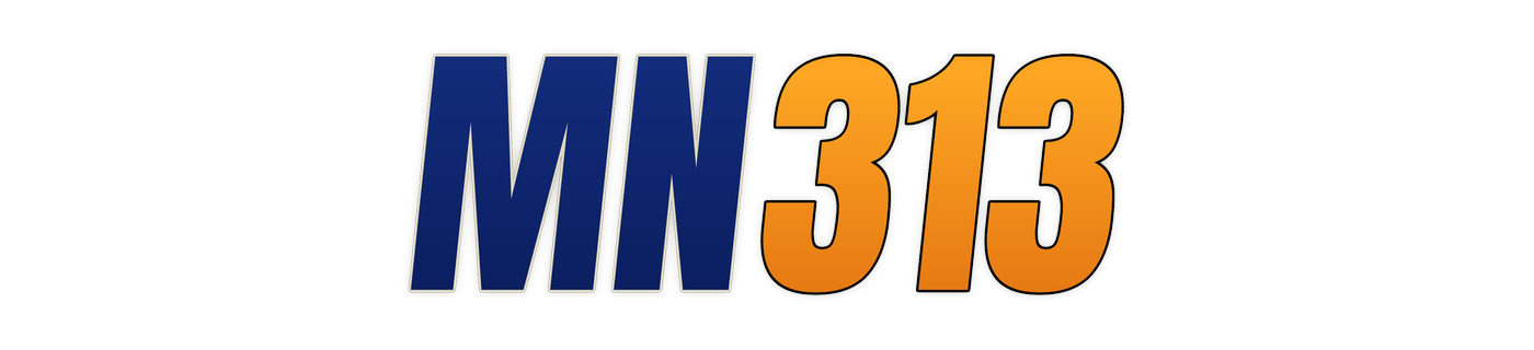 mn313 Logo